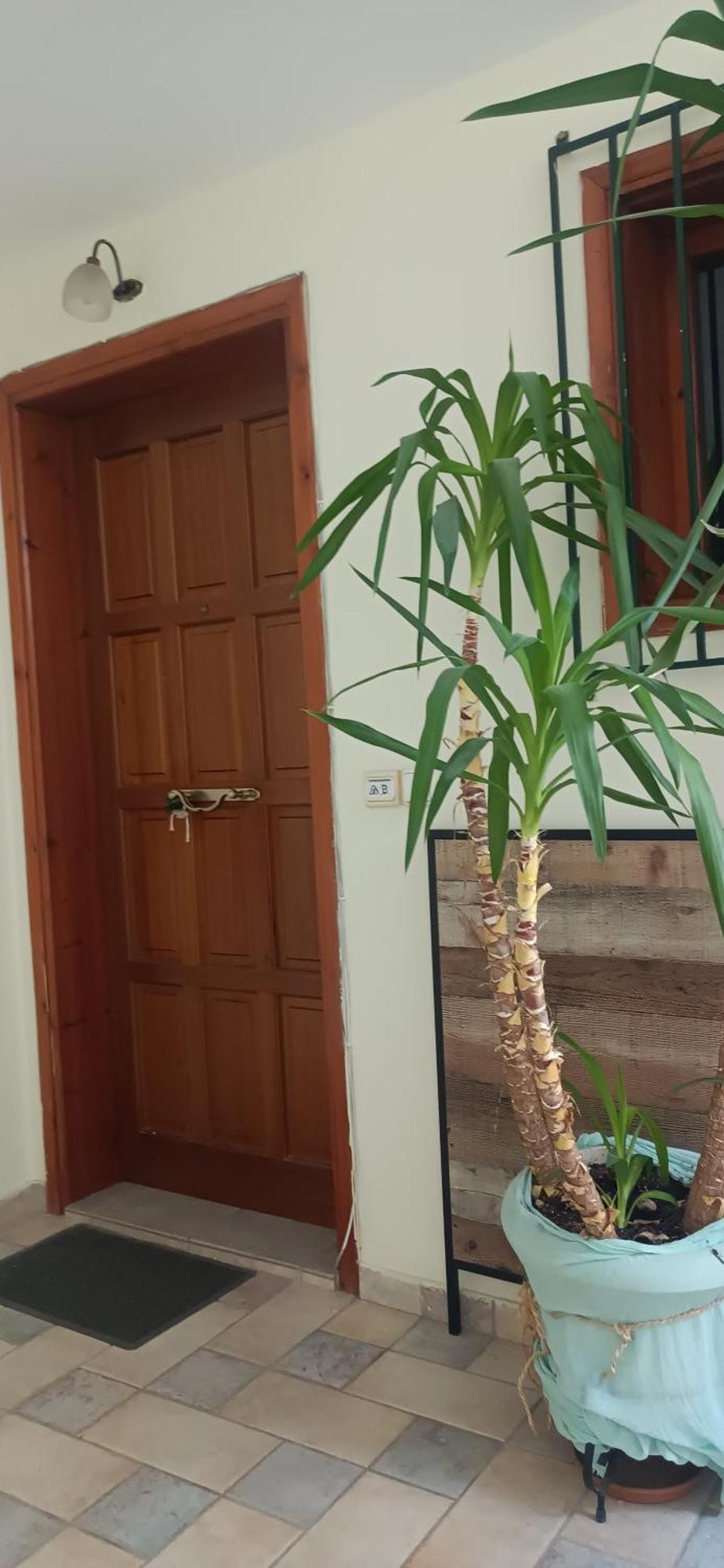 Στούντιο Κέντρου Άνω Πόλης Πάτρας Apartment Bagian luar foto